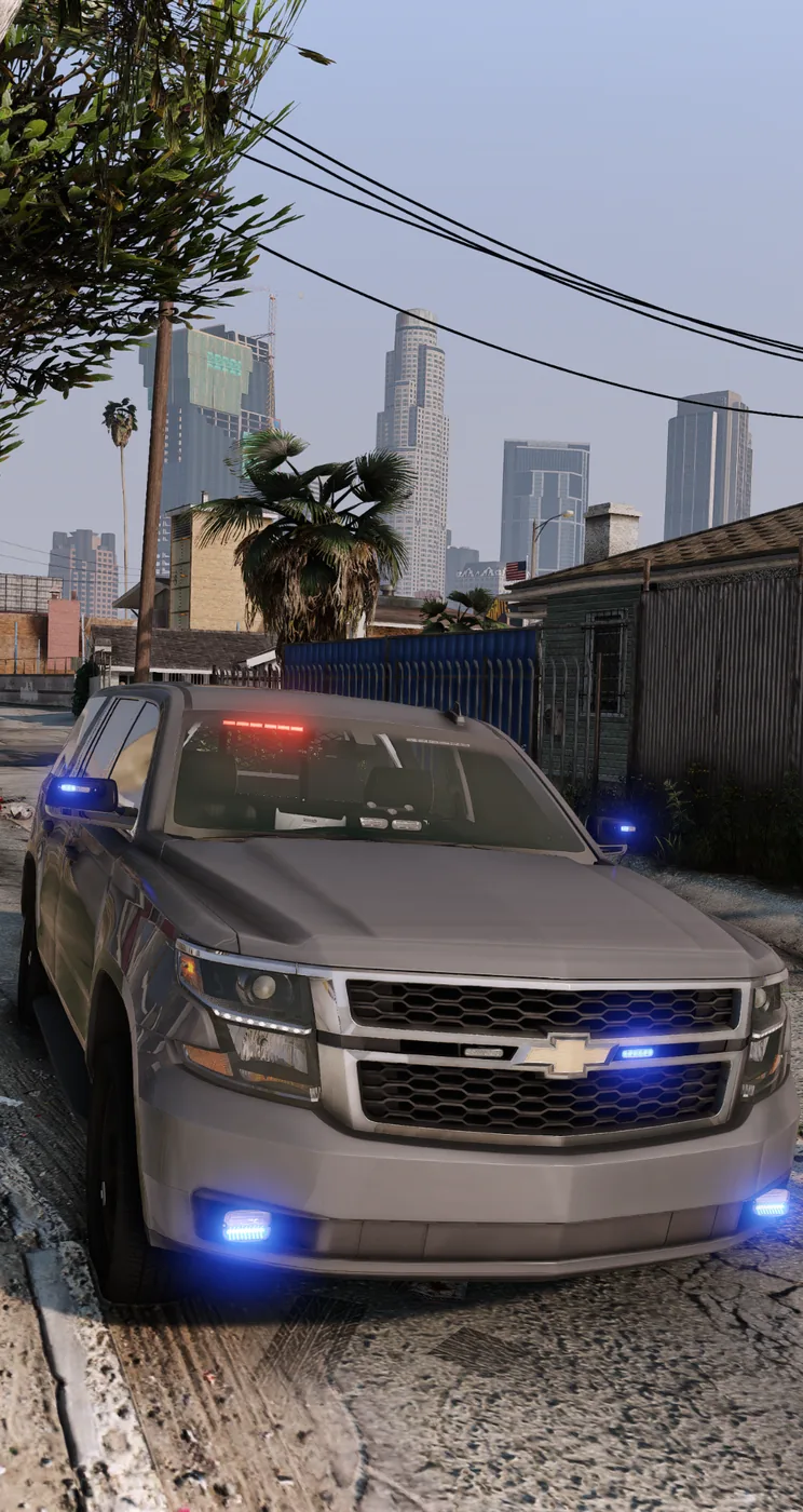 Suncoast Bay patrol scene
